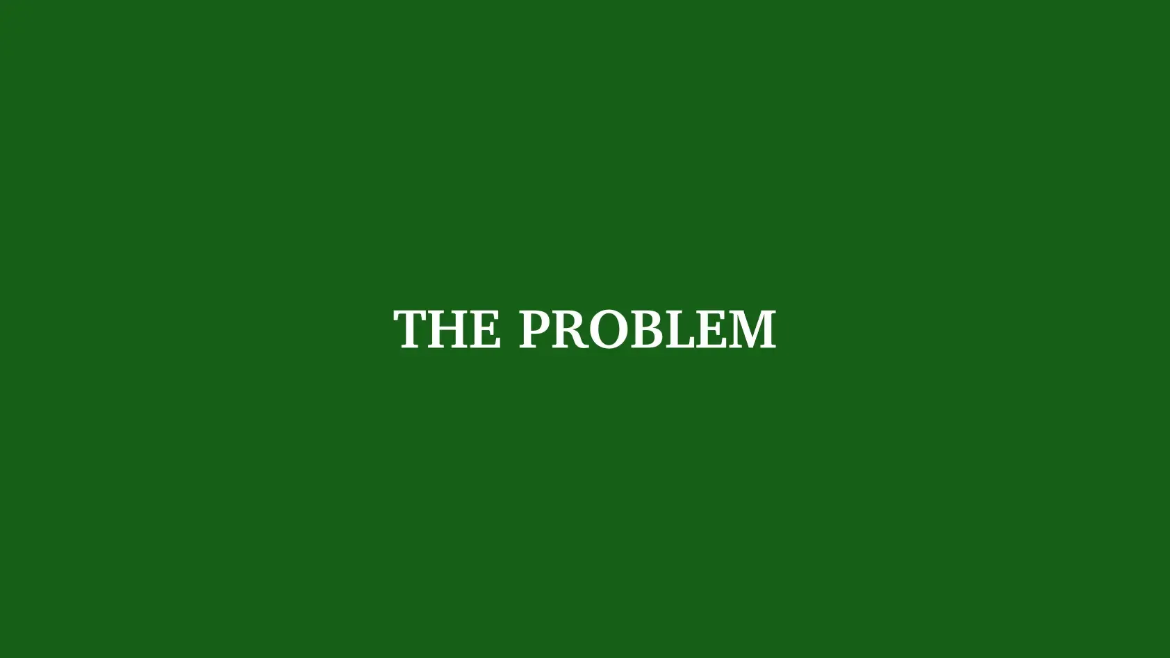 An attention grabber slide saying "THE PROBLEM"